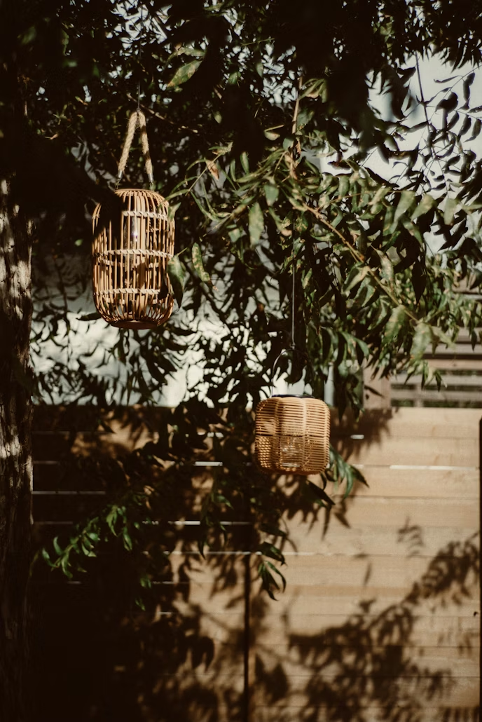 How to create a bird-friendly garden
