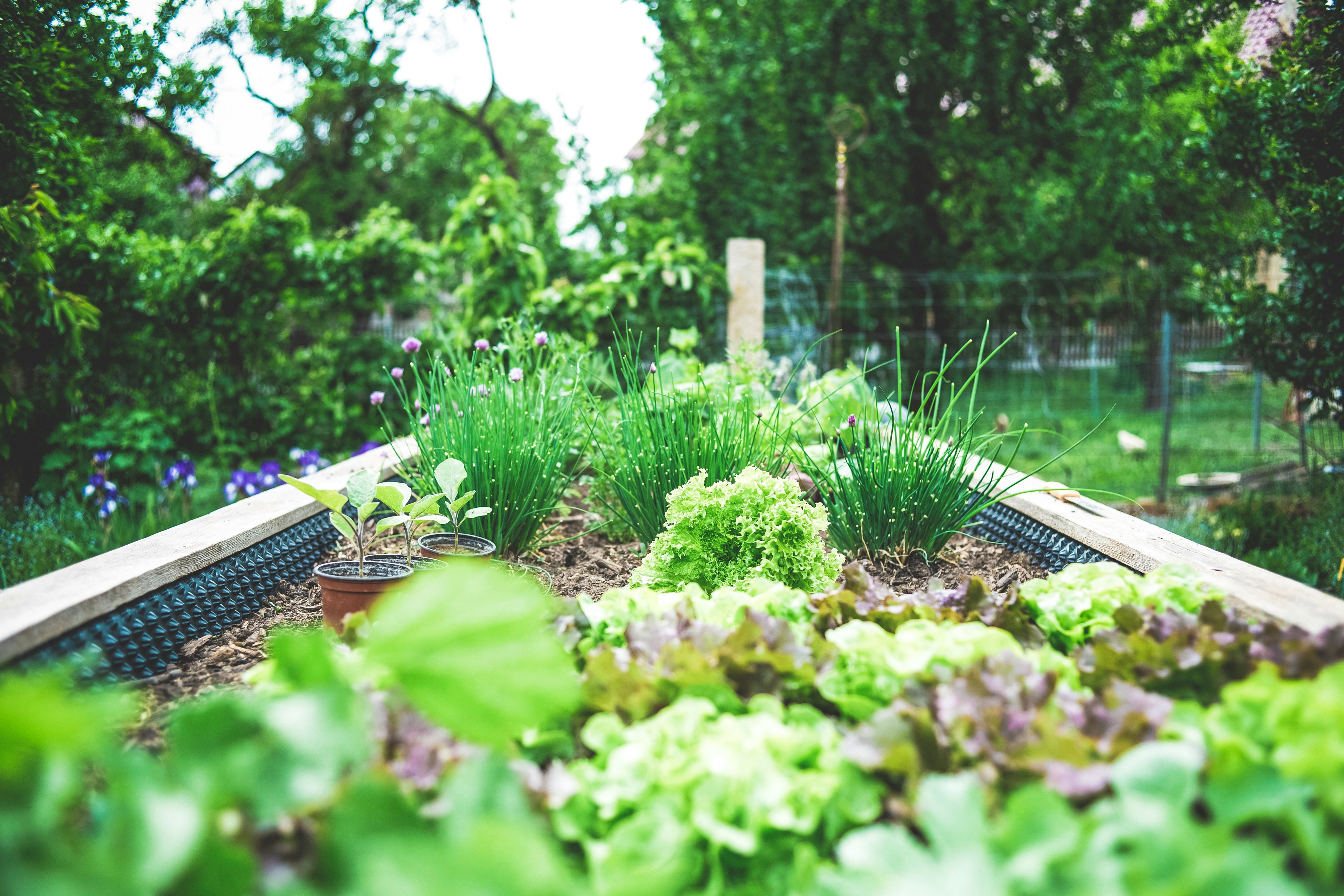 Protecting pollinators through gardening
