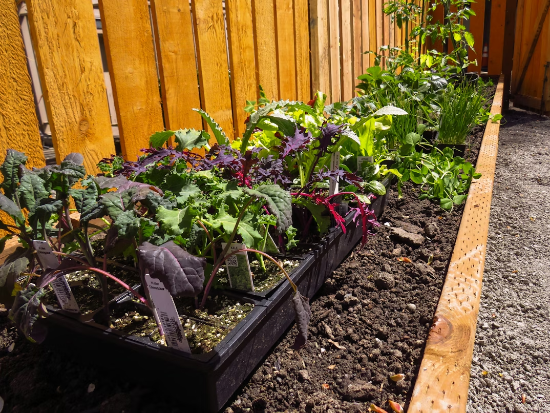 Climate-smart gardening practices