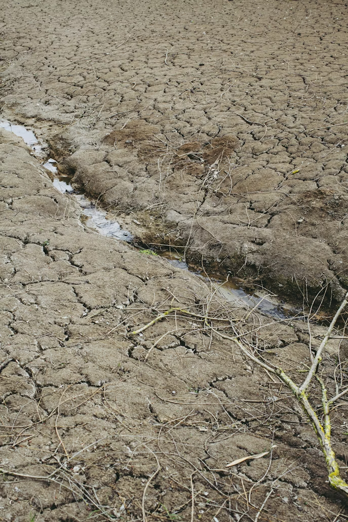 Climate change impact on water resources