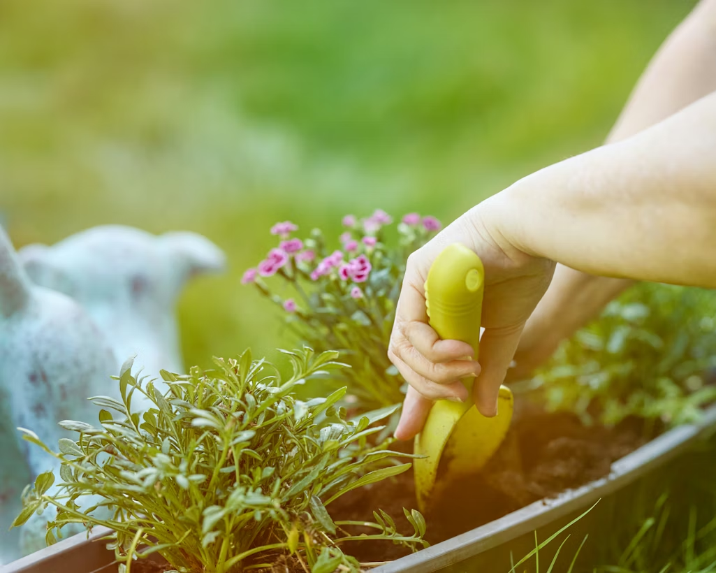 Health and lifestyle benefits of gardening